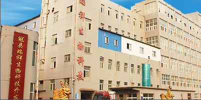 瑞冠牌小麦淀粉 优质澄粉原料，赋能多元化食品加工